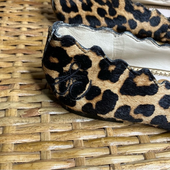 Sam Edelman Francis Ballet Flats - Picture 6 of 7